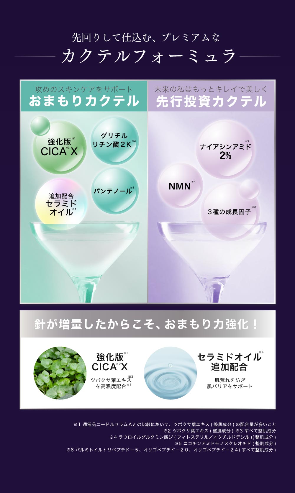フラクショナルCC ニードルセラムAX4 – fractionalCC